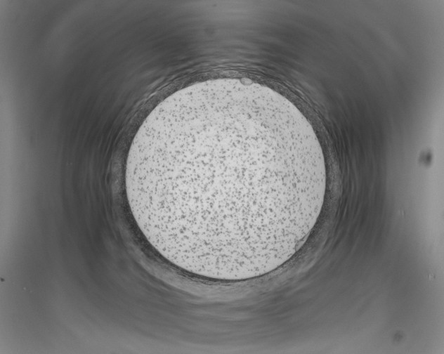 X0000116780036201001281131