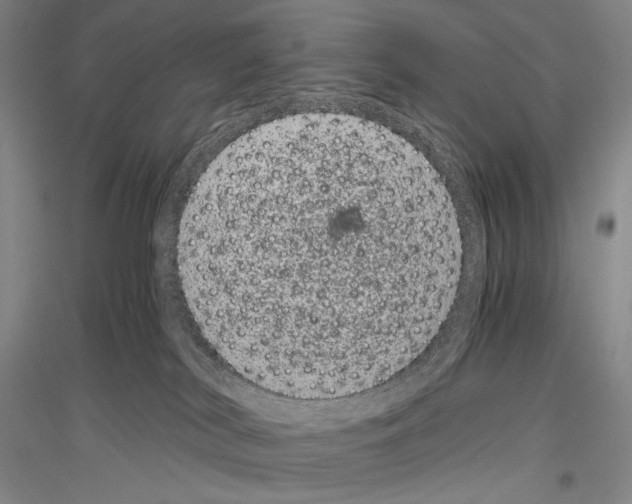 X0000116780038201001281131