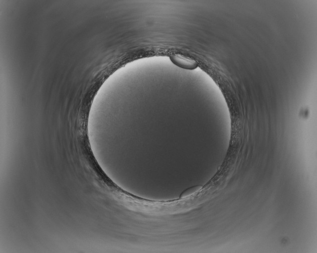 X0000116780039201001281131