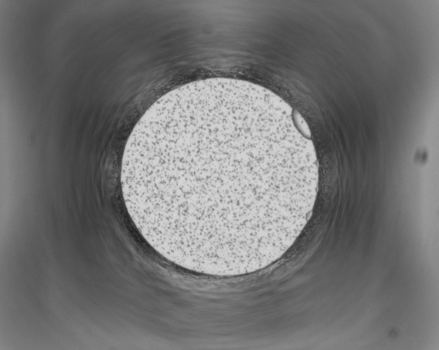 X0000116780040201001281131