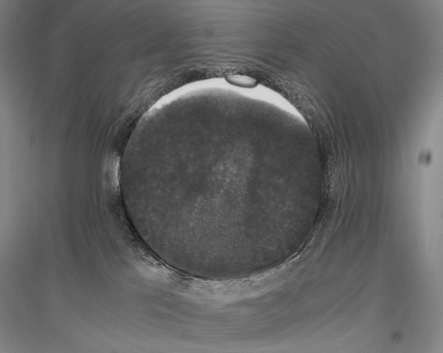 X0000116780041201001281131