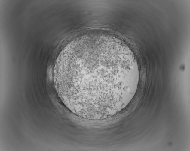 X0000116780042201001281131