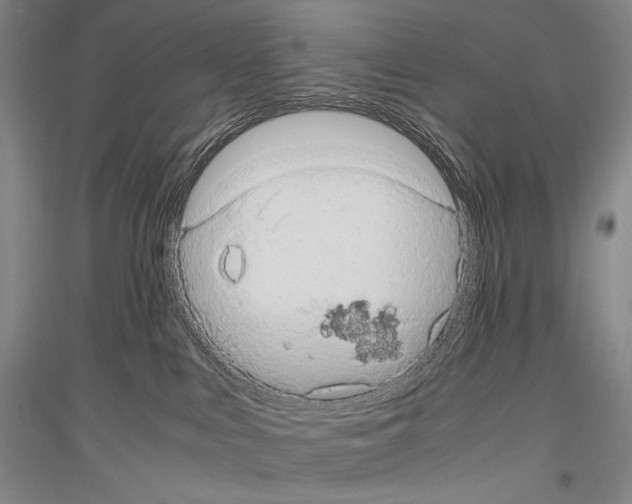 X0000116780043201001281131