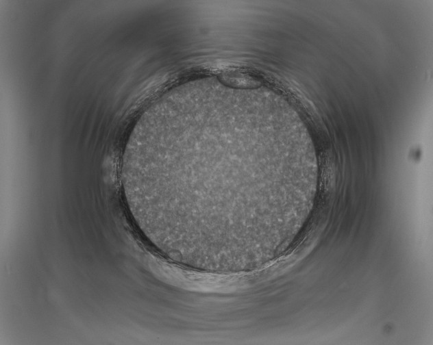 X0000116780044201001281131