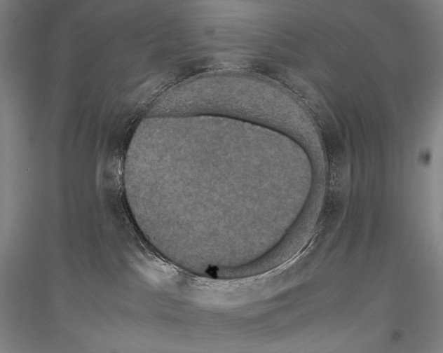 X0000116780045201001281131