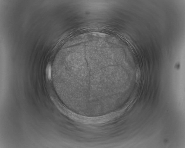 X0000116780046201001281131