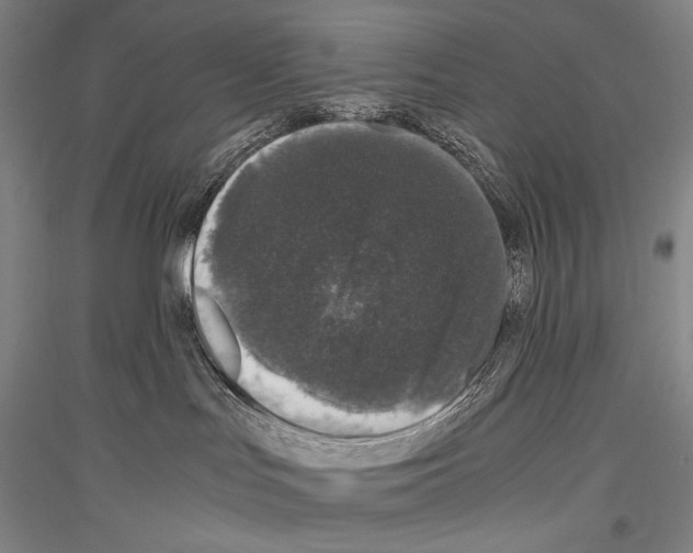 X0000116780047201001281131