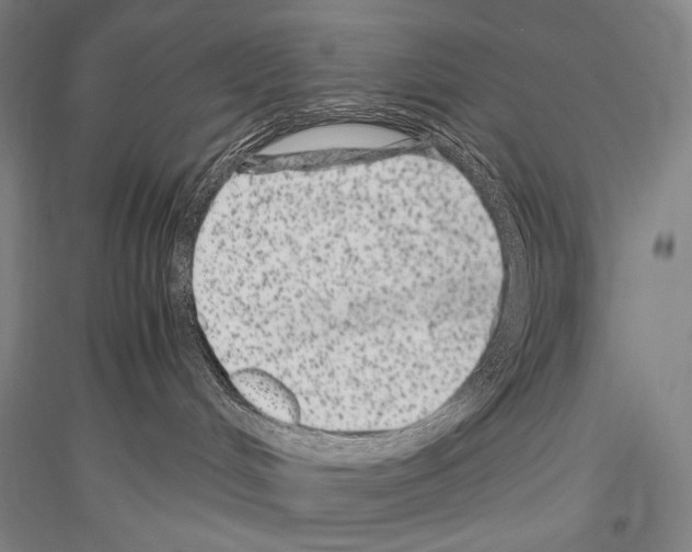 X0000116780048201001281130