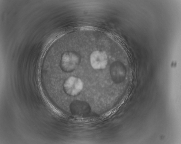 X0000116780049201001281130