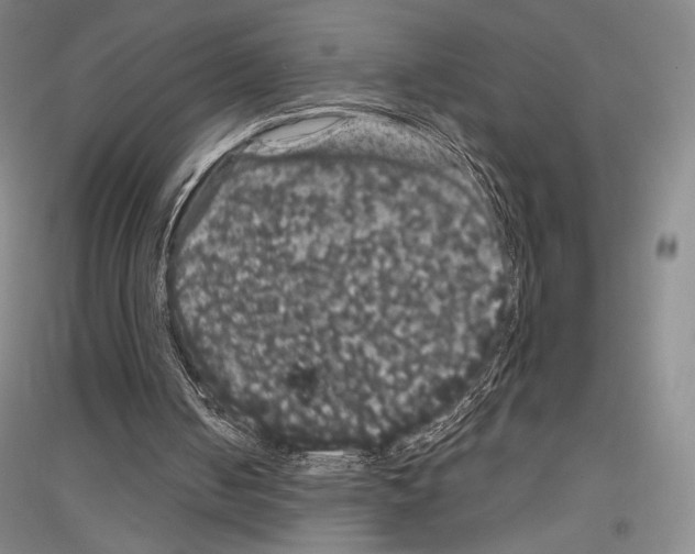 X0000116780050201001281130