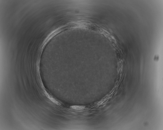 X0000116780051201001281130