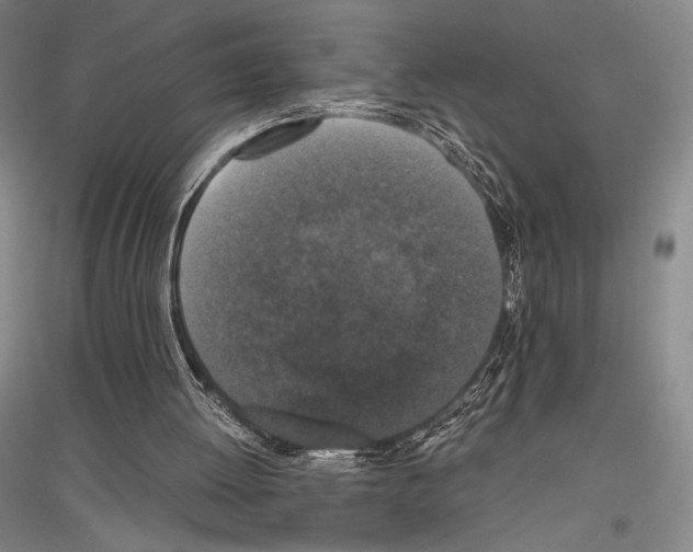 X0000116780052201001281130