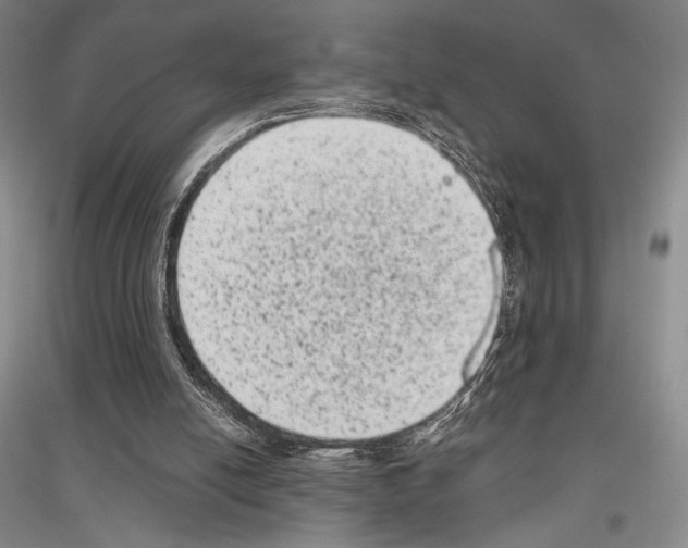 X0000116780054201001281130