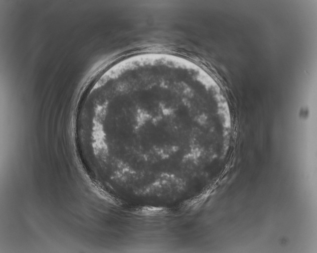 X0000116780055201001281130