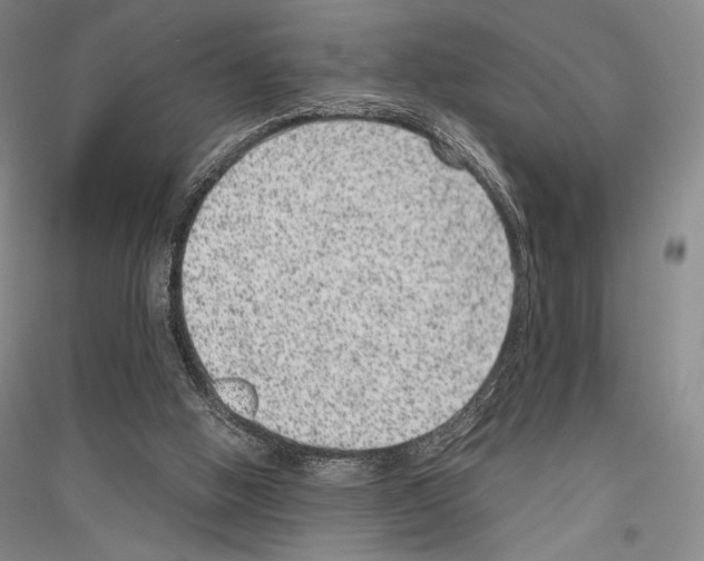 X0000116780058201001281130