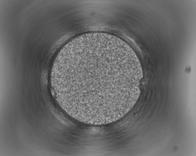 X0000116780060201001281130