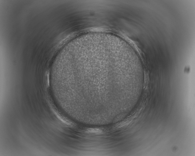 X0000116780061201001281130