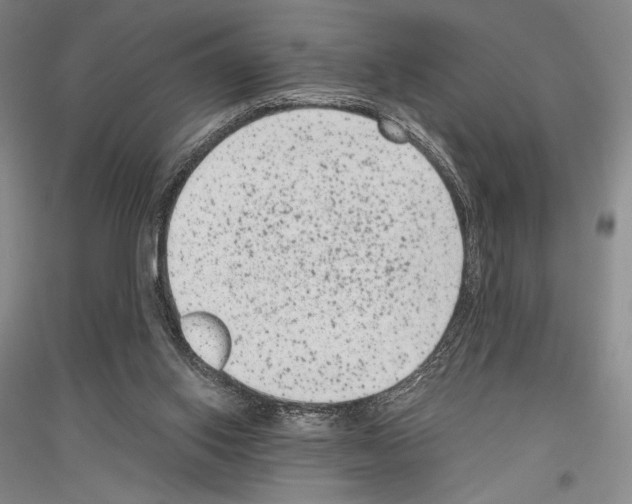 X0000116780062201001281130