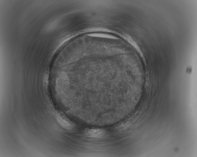 X0000116780063201001281130