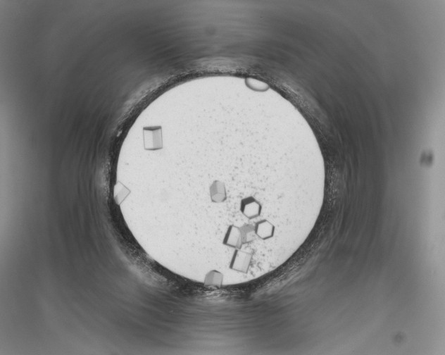 X0000116780064201001281130