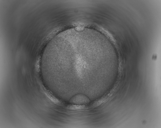 X0000116780065201001281130