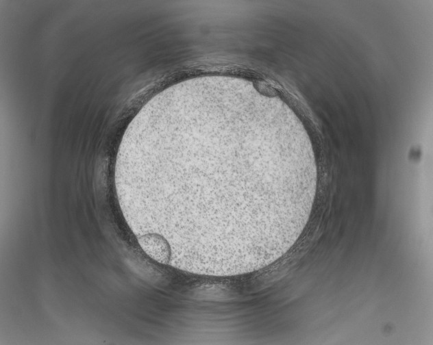 X0000116780066201001281130