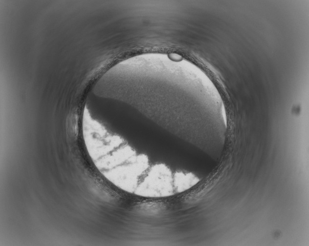 X0000116780067201001281130