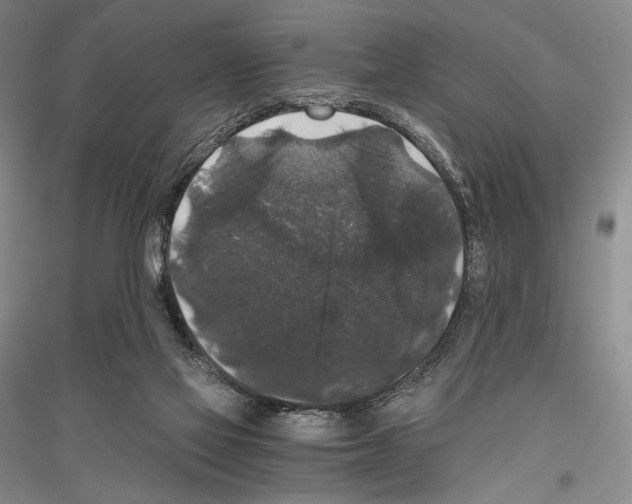 X0000116780069201001281130