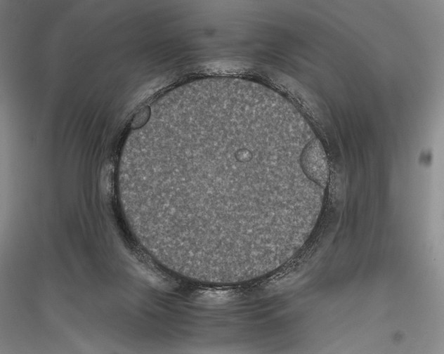 X0000116780071201001281130