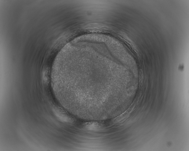 X0000116780074201001281130