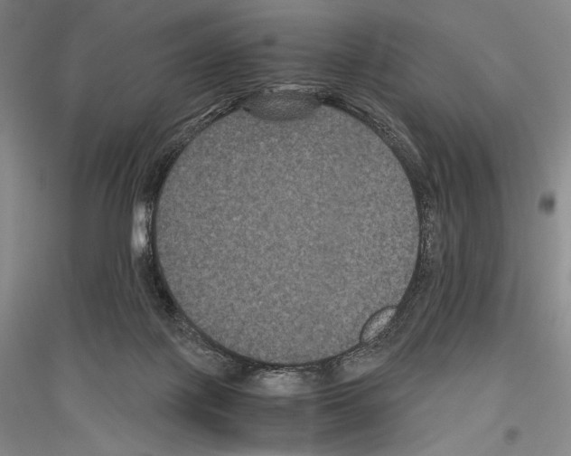 X0000116780075201001281130