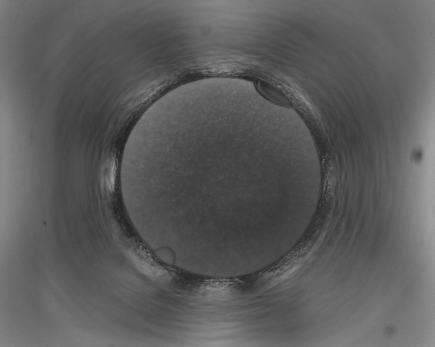 X0000116780076201001281130