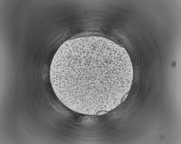 X0000116780077201001281130