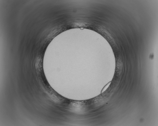 X0000116780079201001281130