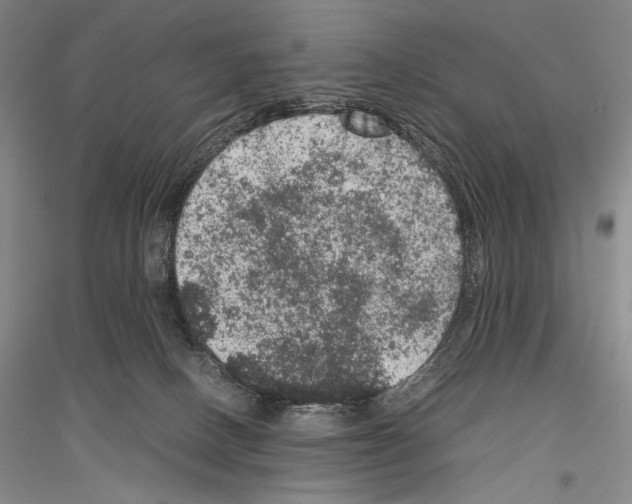 X0000116780082201001281130