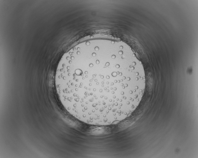 X0000116780083201001281130