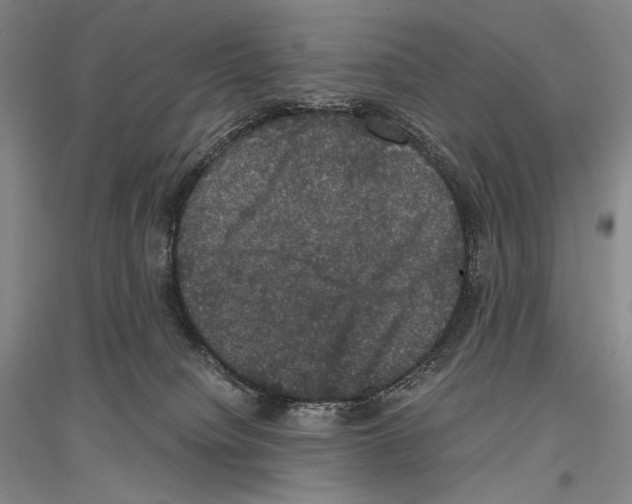 X0000116780084201001281130