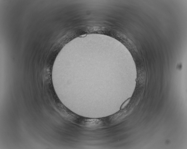 X0000116780087201001281130