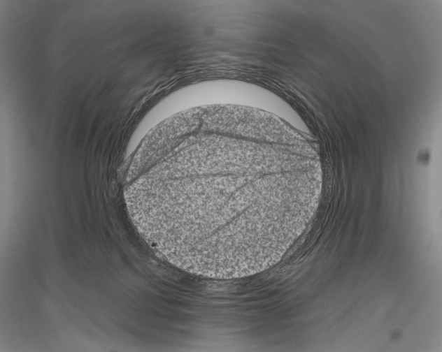 X0000116780088201001281130