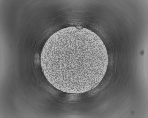 X0000116780089201001281130