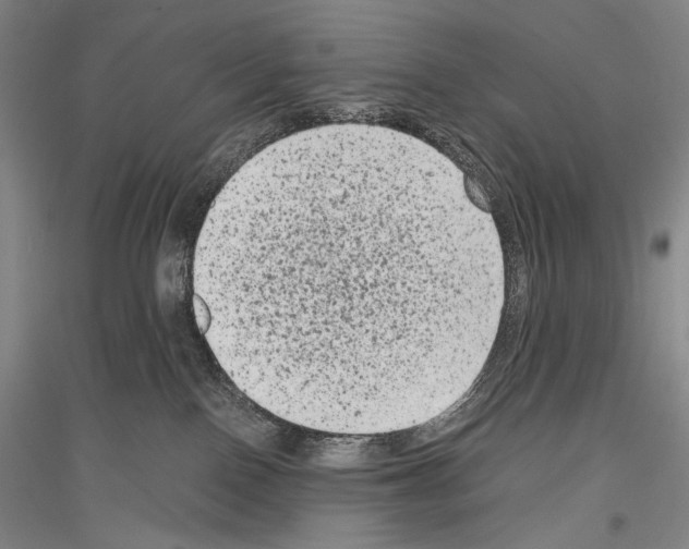 X0000116780090201001281130