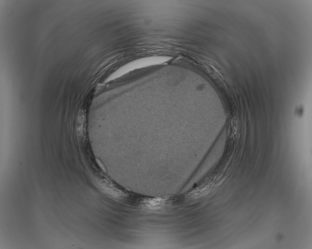 X0000116780092201001281130