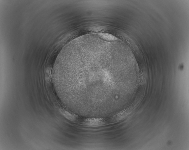 X0000116780093201001281130