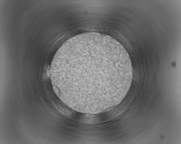 X0000116780095201001281130