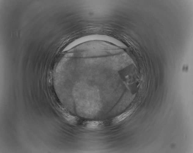 X0000116780096201001281130