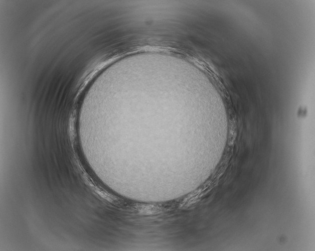 X0000116780098201001281130