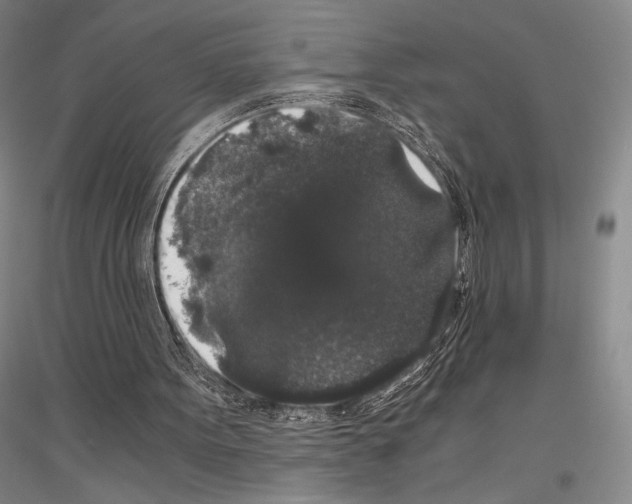 X0000116780099201001281130