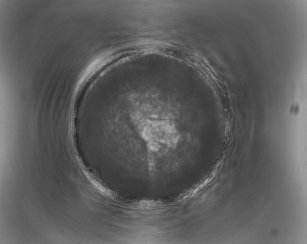 X0000116780101201001281130