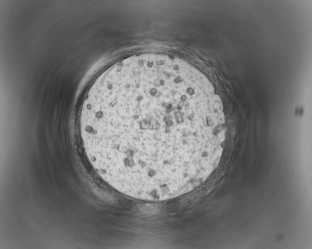 X0000116780102201001281130