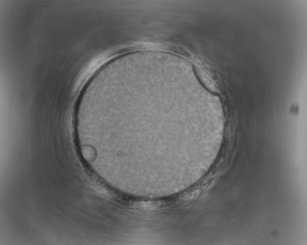 X0000116780103201001281130